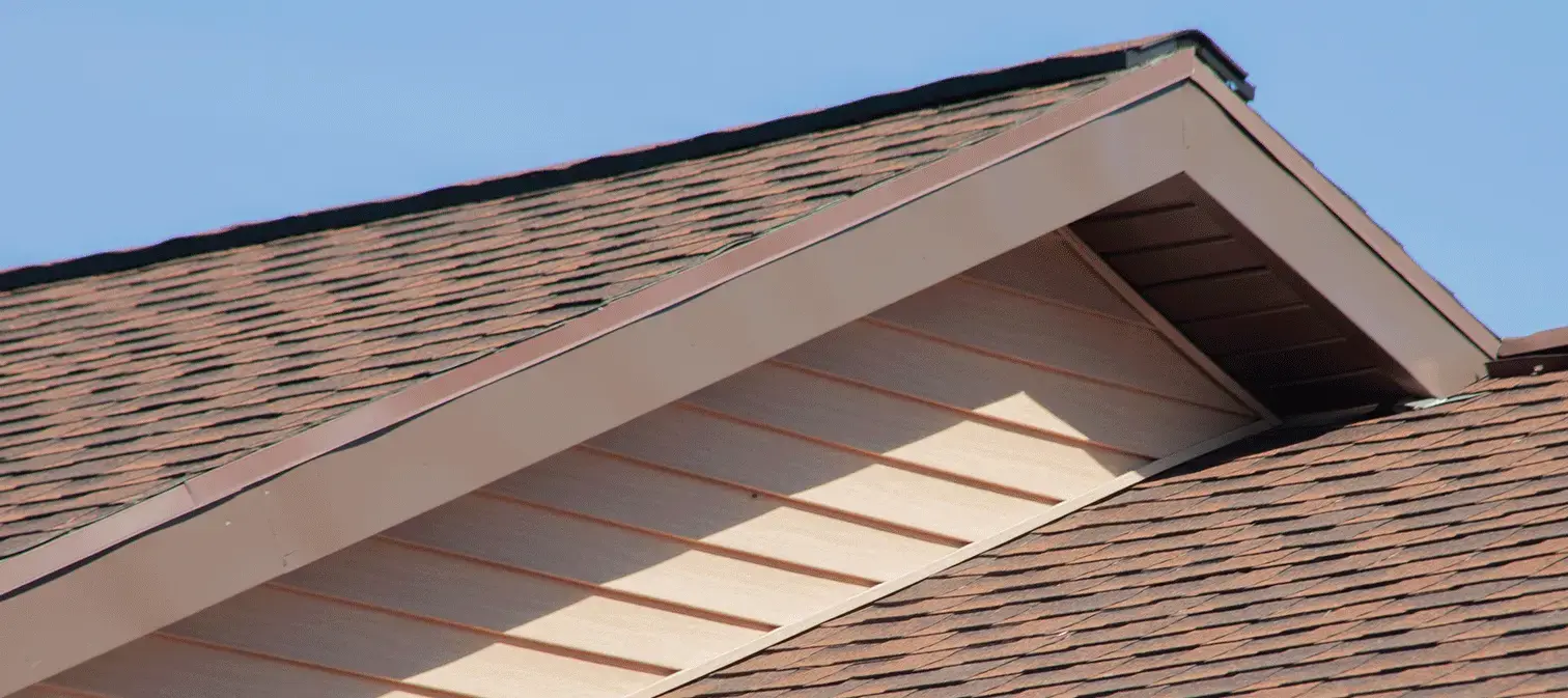 Homepage Banner Image 1