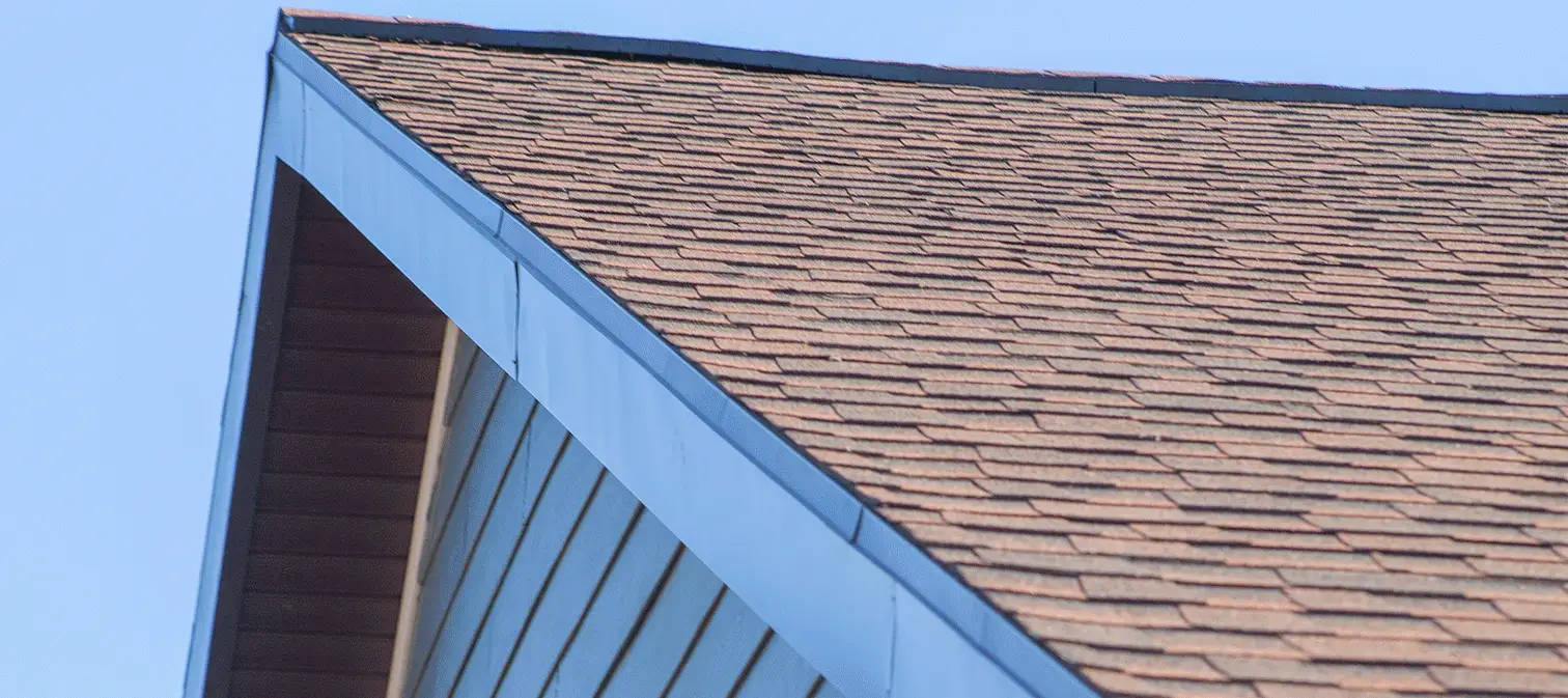 Homepage Banner Image 4